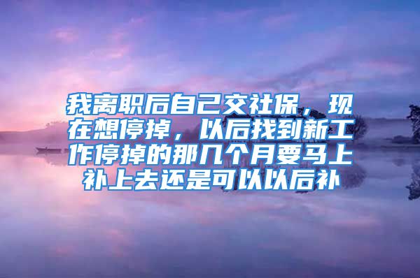 我离职后自己交社保，现在想停掉，以后找到新工作停掉的那几个月要马上补上去还是可以以后补