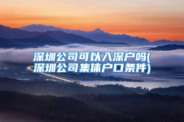 深圳公司可以入深户吗(深圳公司集体户口条件)