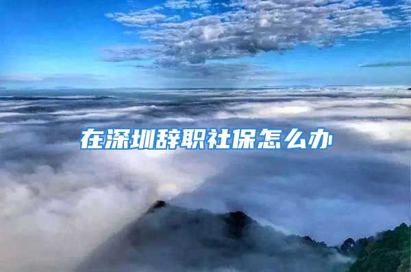 在深圳辞职社保怎么办