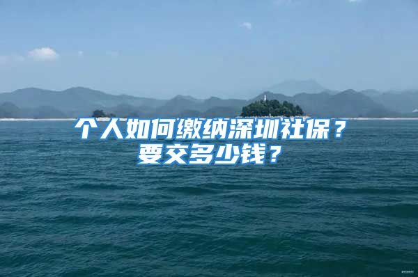 个人如何缴纳深圳社保？要交多少钱？