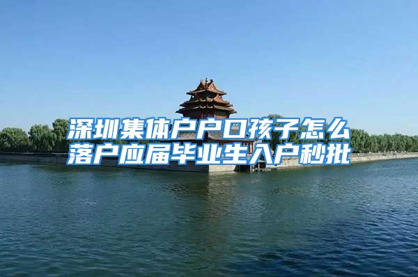 深圳集体户户口孩子怎么落户应届毕业生入户秒批