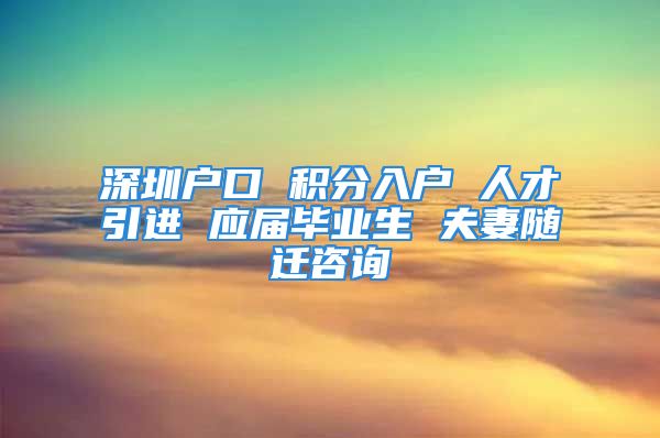 深圳户口 积分入户 人才引进 应届毕业生 夫妻随迁咨询