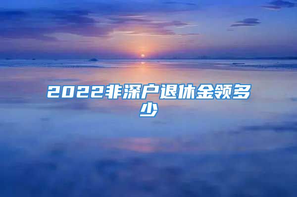 2022非深户退休金领多少