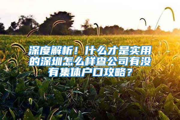 深度解析！什么才是实用的深圳怎么样查公司有没有集体户口攻略？