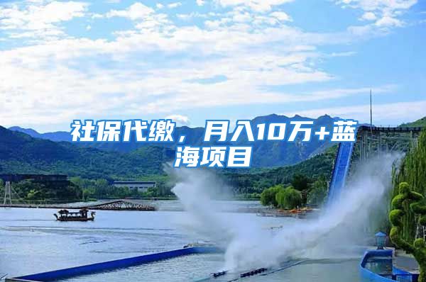 社保代缴，月入10万+蓝海项目