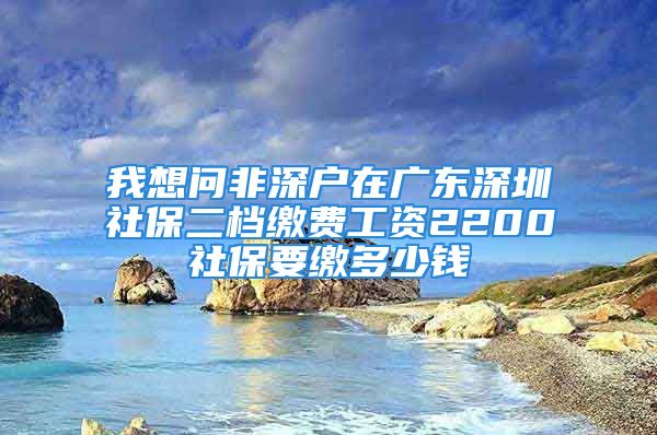 我想问非深户在广东深圳社保二档缴费工资2200社保要缴多少钱