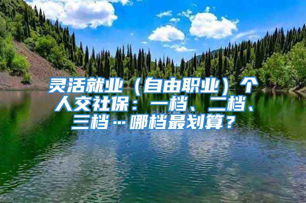 灵活就业（自由职业）个人交社保：一档、二档、三档…哪档最划算？