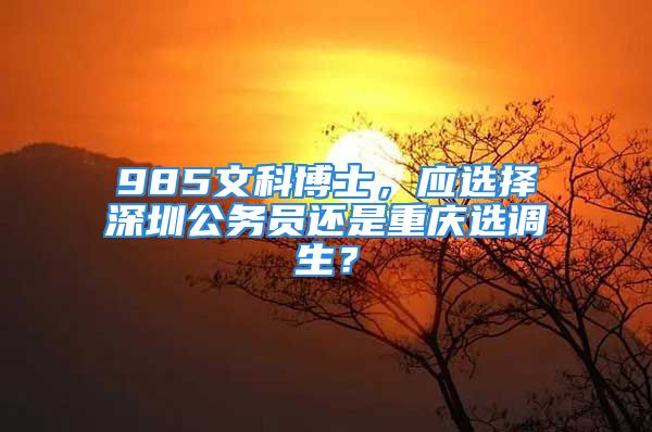 985文科博士，应选择深圳公务员还是重庆选调生？