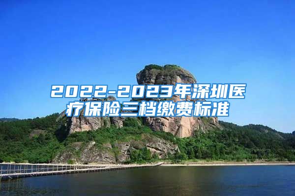 2022-2023年深圳医疗保险三档缴费标准