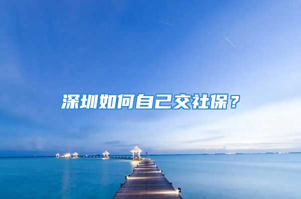 深圳如何自己交社保？