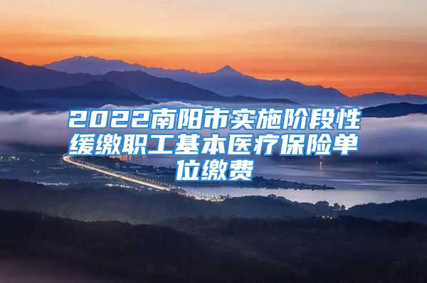 2022南阳市实施阶段性缓缴职工基本医疗保险单位缴费