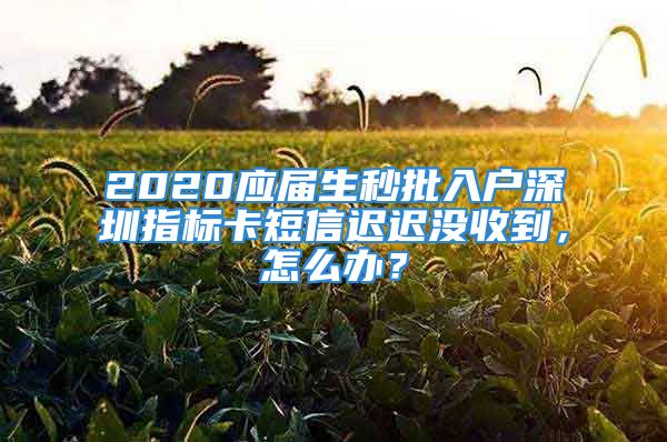 2020应届生秒批入户深圳指标卡短信迟迟没收到，怎么办？