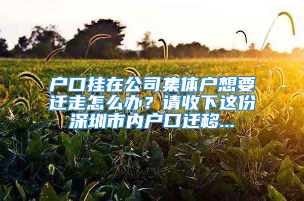 户口挂在公司集体户想要迁走怎么办？请收下这份深圳市内户口迁移...