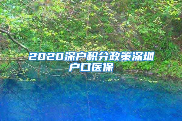 2020深户积分政策深圳户口医保