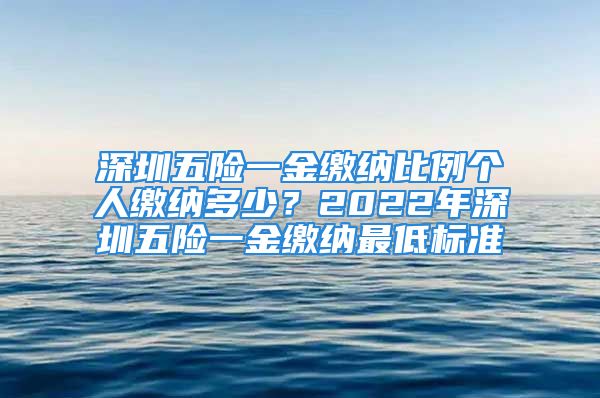 深圳五险一金缴纳比例个人缴纳多少？2022年深圳五险一金缴纳最低标准