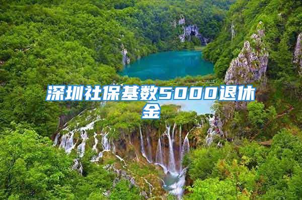 深圳社保基数5000退休金