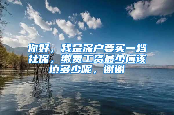 你好，我是深户要买一档社保，缴费工资最少应该填多少呢，谢谢