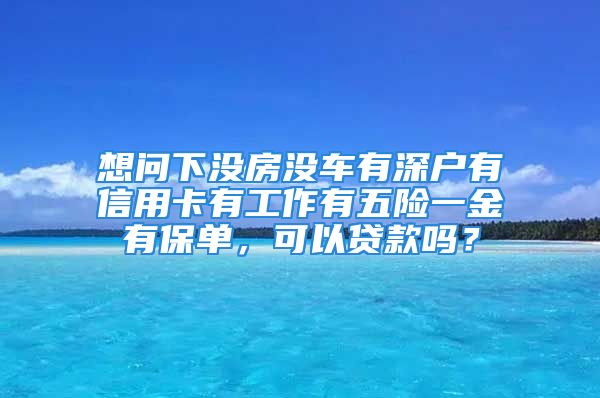 想问下没房没车有深户有信用卡有工作有五险一金有保单，可以贷款吗？