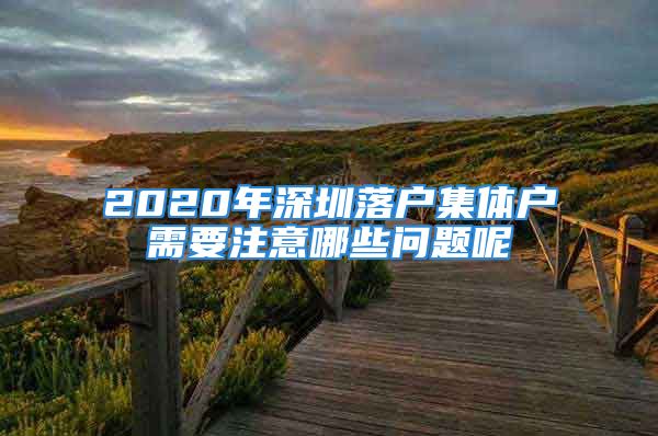 2020年深圳落户集体户需要注意哪些问题呢