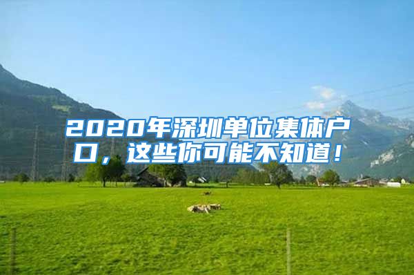 2020年深圳单位集体户口，这些你可能不知道！