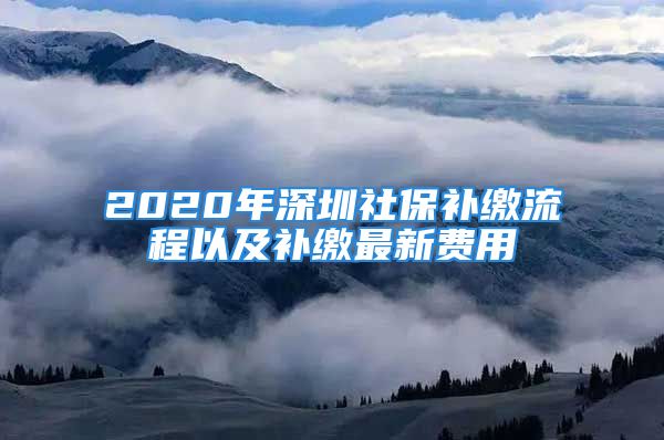 2020年深圳社保补缴流程以及补缴最新费用