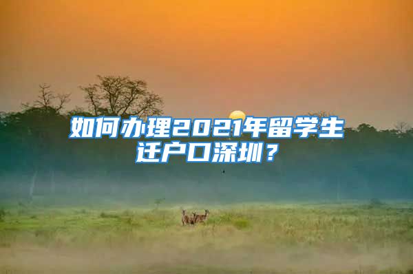 如何办理2021年留学生迁户口深圳？