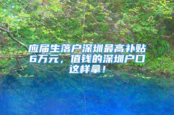 应届生落户深圳最高补贴6万元，值钱的深圳户口这样拿！