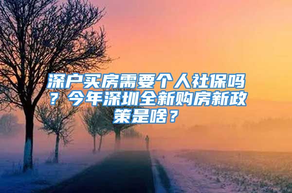 深户买房需要个人社保吗？今年深圳全新购房新政策是啥？