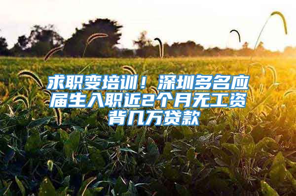 求职变培训！深圳多名应届生入职近2个月无工资 背几万贷款