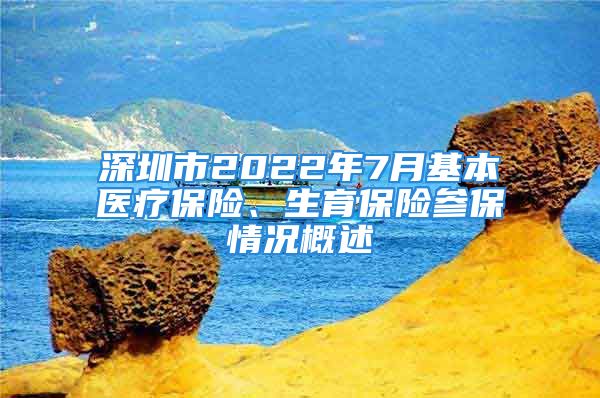 深圳市2022年7月基本医疗保险、生育保险参保情况概述