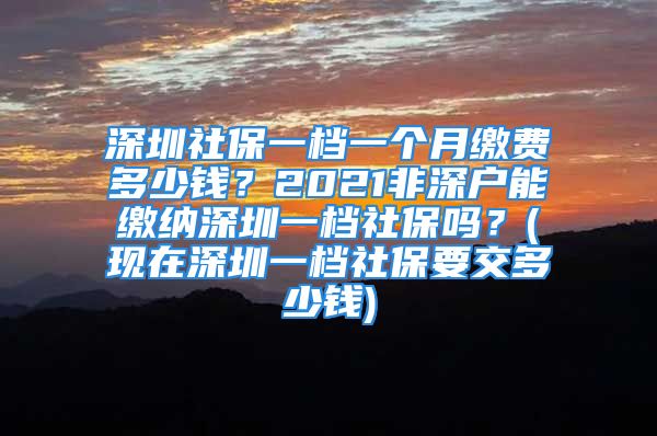 深圳社保一档一个月缴费多少钱？2021非深户能缴纳深圳一档社保吗？(现在深圳一档社保要交多少钱)