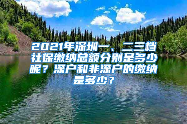 2021年深圳一、二三档社保缴纳总额分别是多少呢？深户和非深户的缴纳是多少？