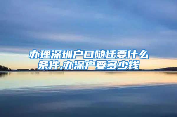 办理深圳户口随迁要什么条件,办深户要多少钱