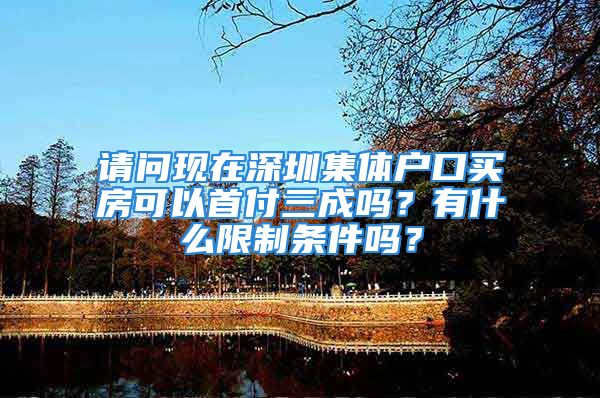 请问现在深圳集体户口买房可以首付三成吗？有什么限制条件吗？