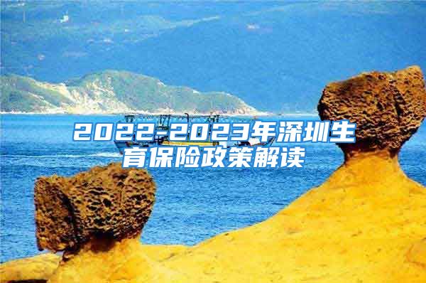 2022-2023年深圳生育保险政策解读