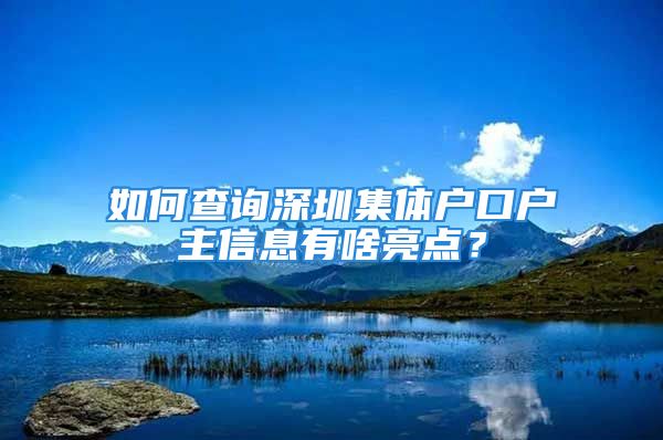 如何查询深圳集体户口户主信息有啥亮点？