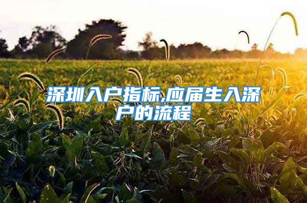 深圳入户指标,应届生入深户的流程