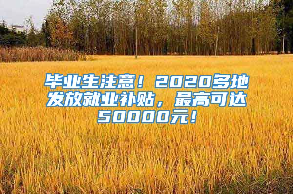 毕业生注意！2020多地发放就业补贴，最高可达50000元！