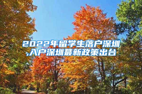 2022年留学生落户深圳,入户深圳蕞新政策出台