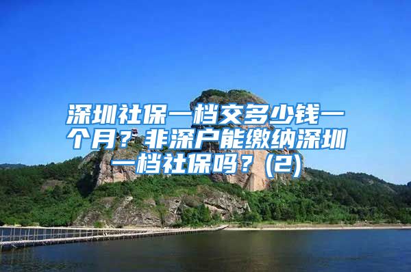 深圳社保一档交多少钱一个月？非深户能缴纳深圳一档社保吗？(2)