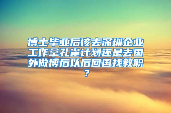 博士毕业后该去深圳企业工作拿孔雀计划还是去国外做博后以后回国找教职？