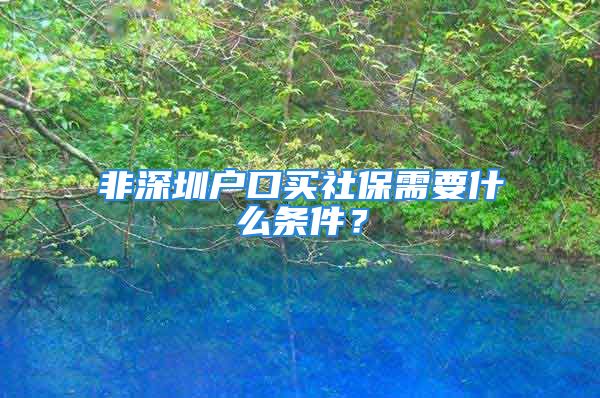 非深圳户口买社保需要什么条件？