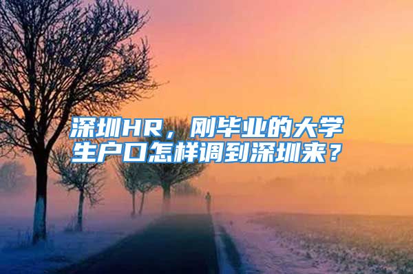 深圳HR，刚毕业的大学生户口怎样调到深圳来？