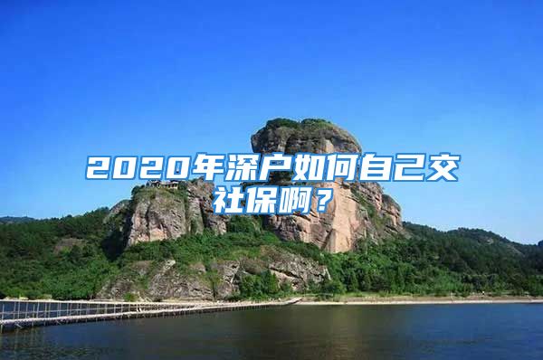 2020年深户如何自己交社保啊？