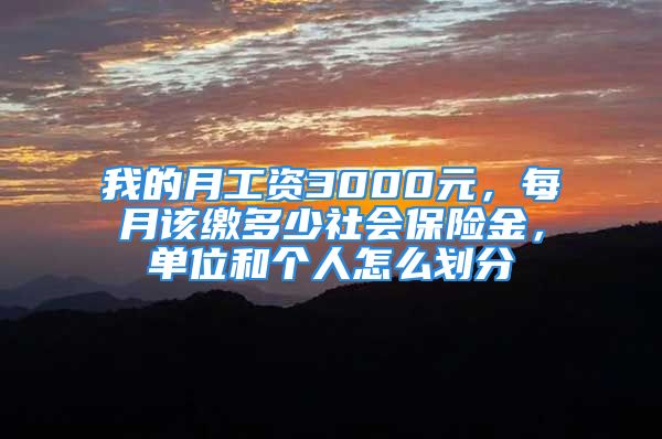 我的月工资3000元，每月该缴多少社会保险金，单位和个人怎么划分