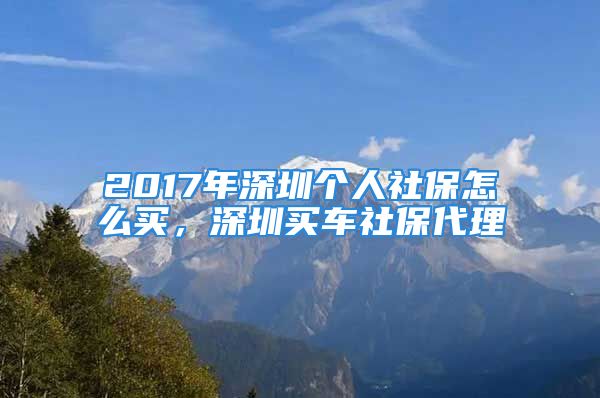 2017年深圳个人社保怎么买，深圳买车社保代理