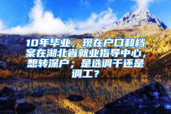 10年毕业，现在户口和档案在湖北省就业指导中心，想转深户；是选调干还是调工？