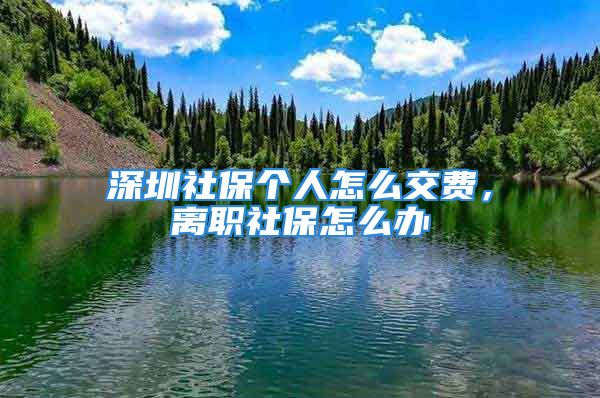 深圳社保个人怎么交费，离职社保怎么办