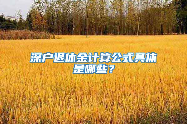 深户退休金计算公式具体是哪些？