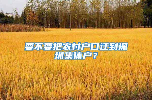 要不要把农村户口迁到深圳集体户？